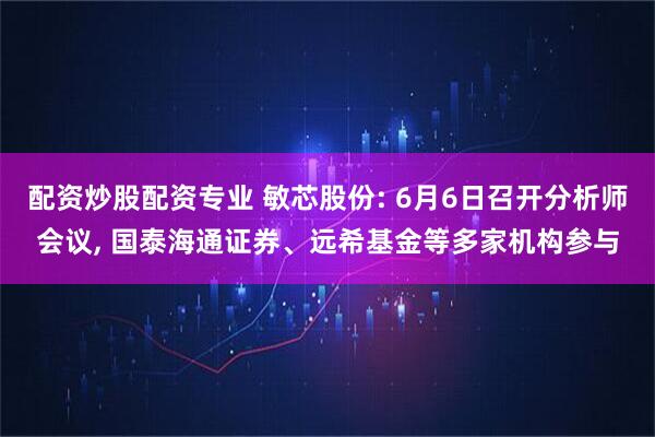 配资炒股配资专业 敏芯股份: 6月6日召开分析师会议, 国泰海通证券、远希基金等多家机构参与