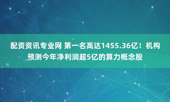 配资资讯专业网 第一名高达1455.36亿！机构预测今年净利润超5亿的算力概念股